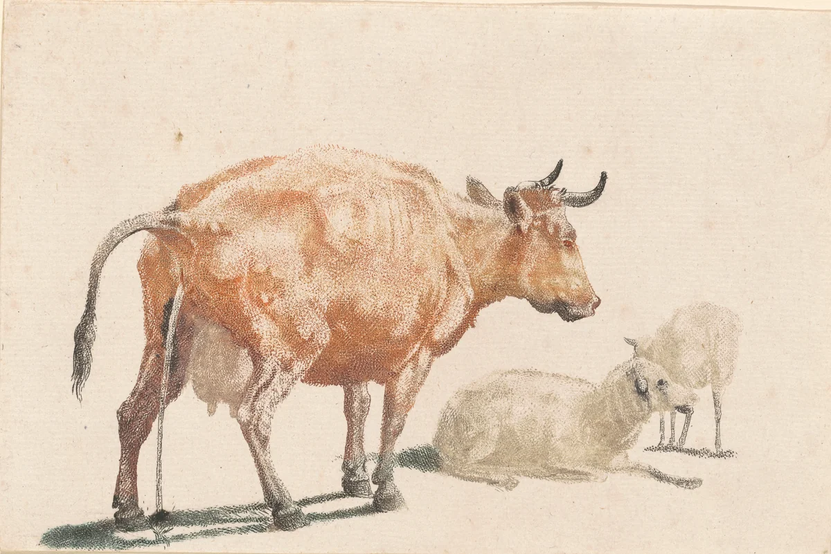Pissing Cow and Two Sheep by Johann Teyler; Paulus Potter, print, 1685-1697
