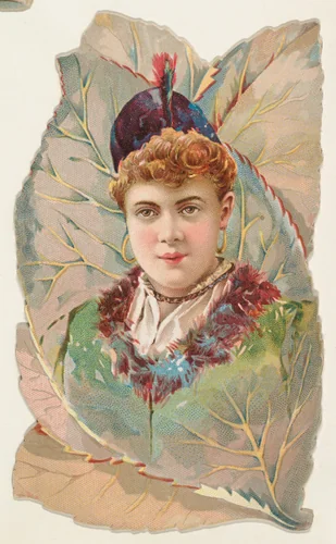 Leaves, from the Novelties series (N122) issued by Gail & Ax Tobacco to promote Navy Long Cut by Gail & Ax Tobacco, print, 1889