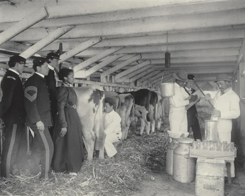 Agriculture. Sampling milk by Frances Benjamin Johnston, photograph, 1899