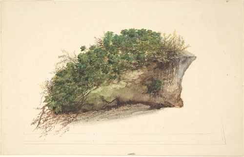 Study of a piece of turf by anonymous, drawing, 1800-1850