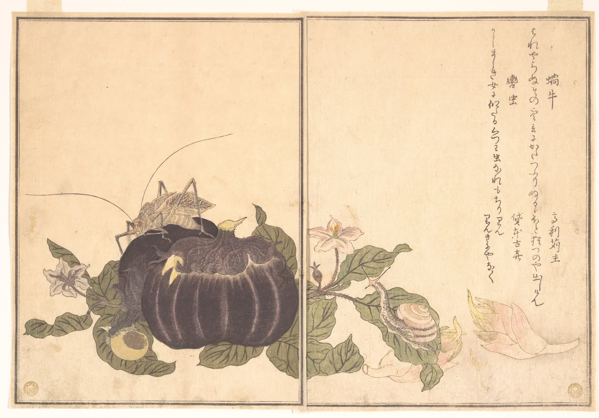 Land Snail (Katatsumuri); Giant Katydid (Kutsuwamushi), from the Picture Book of Crawling Creatures (Ehon mushi erami) by Kitagawa Utamaro (喜多川歌麿), print, 1788