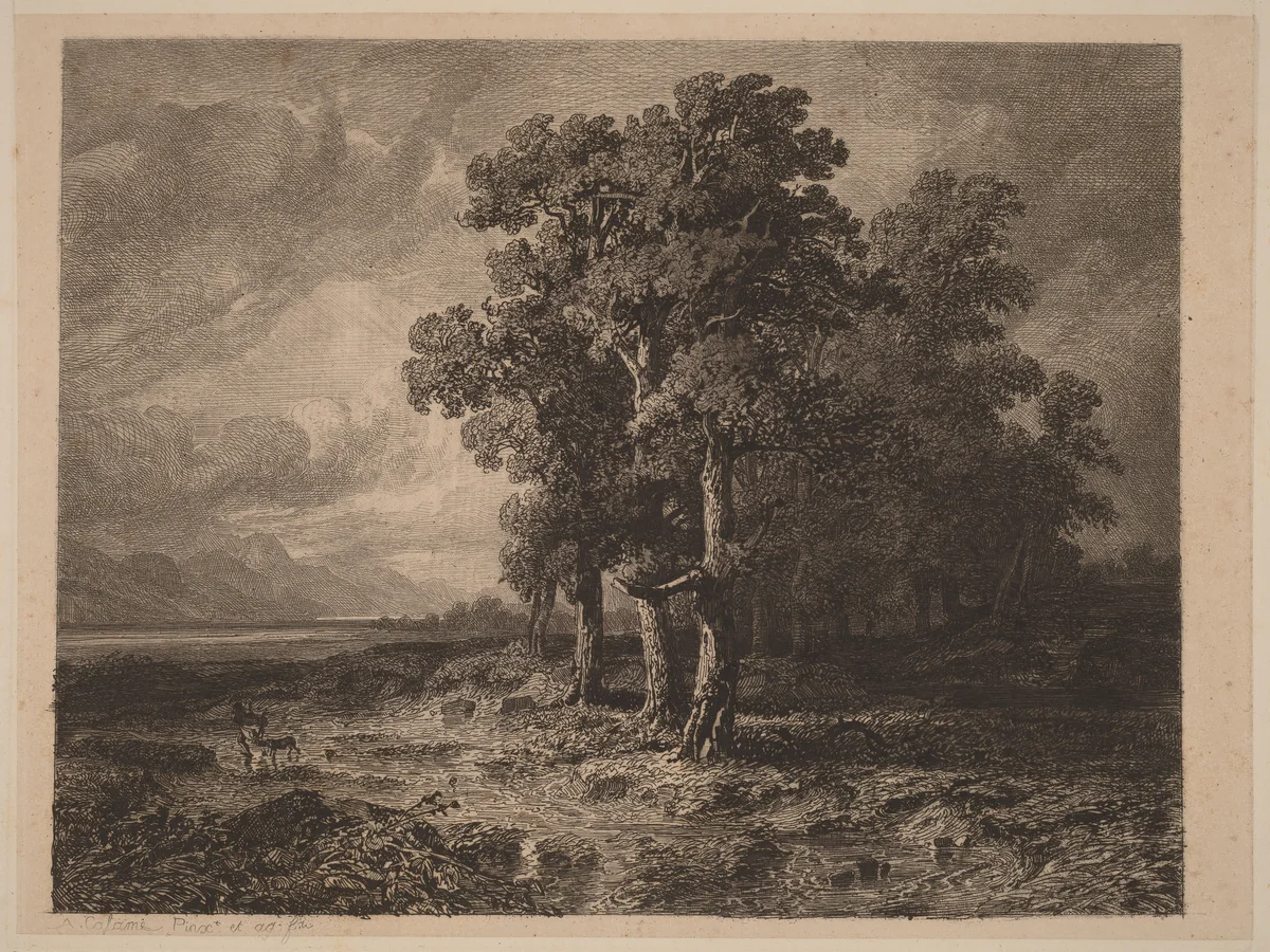 Trees in a Storm by Alexandre Calame, portfolio, 1838-1850