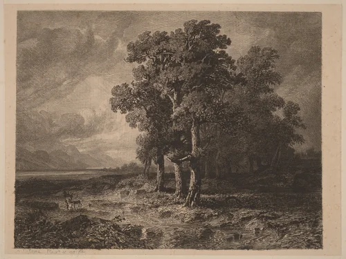 Trees in a Storm by Alexandre Calame, portfolio, 1838-1850
