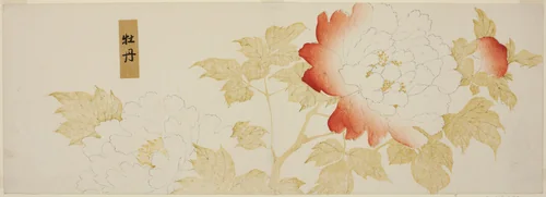 Peonies by Kitagawa Utamaro (喜多川歌麿), print, 1753-1806
