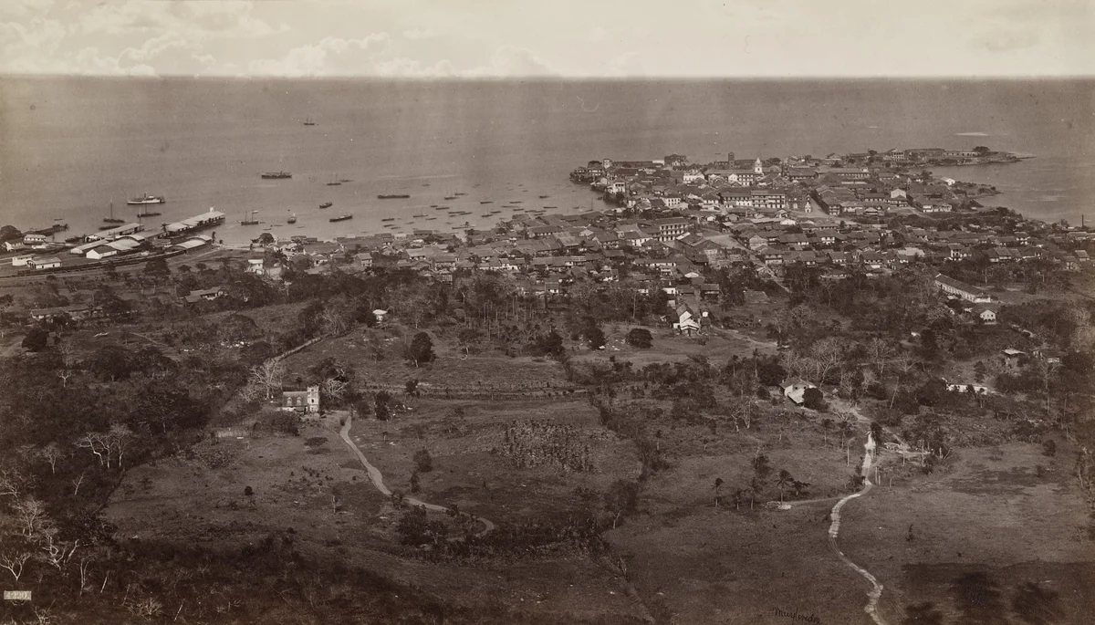 Panama from Mount Ancon by Eadweard Muybridge, photograph, 1875