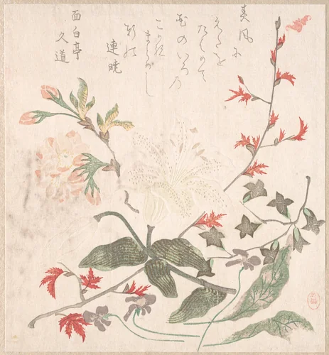 Lily, Violets, Cherry Blossoms, Forsythia, and a Branch of Red Maple by Unidentified Artist, print, 1700-1899