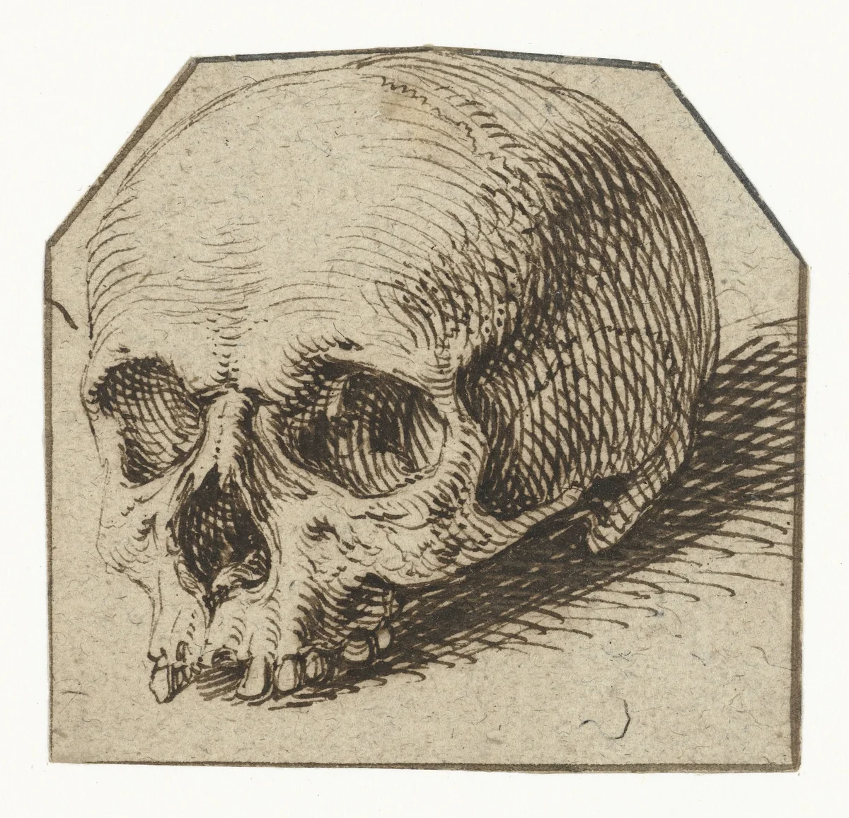 Studie van een schedel by Jacques de Gheyn, drawing, 1575-1625