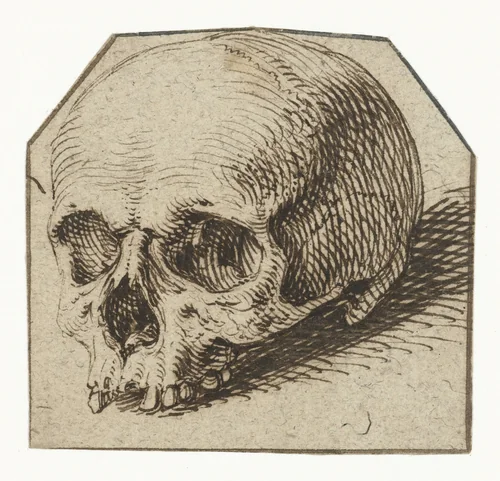 Studie van een schedel by Jacques de Gheyn, drawing, 1575-1625