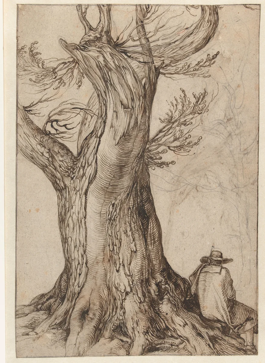 Studie van een boomstronk by Jacques de Gheyn, drawing, 1598-1608