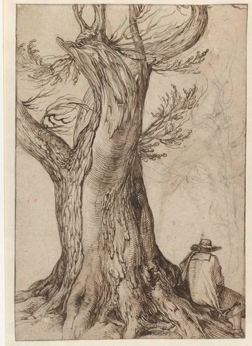 Studie van een boomstronk by Jacques de Gheyn, drawing, 1598-1608
