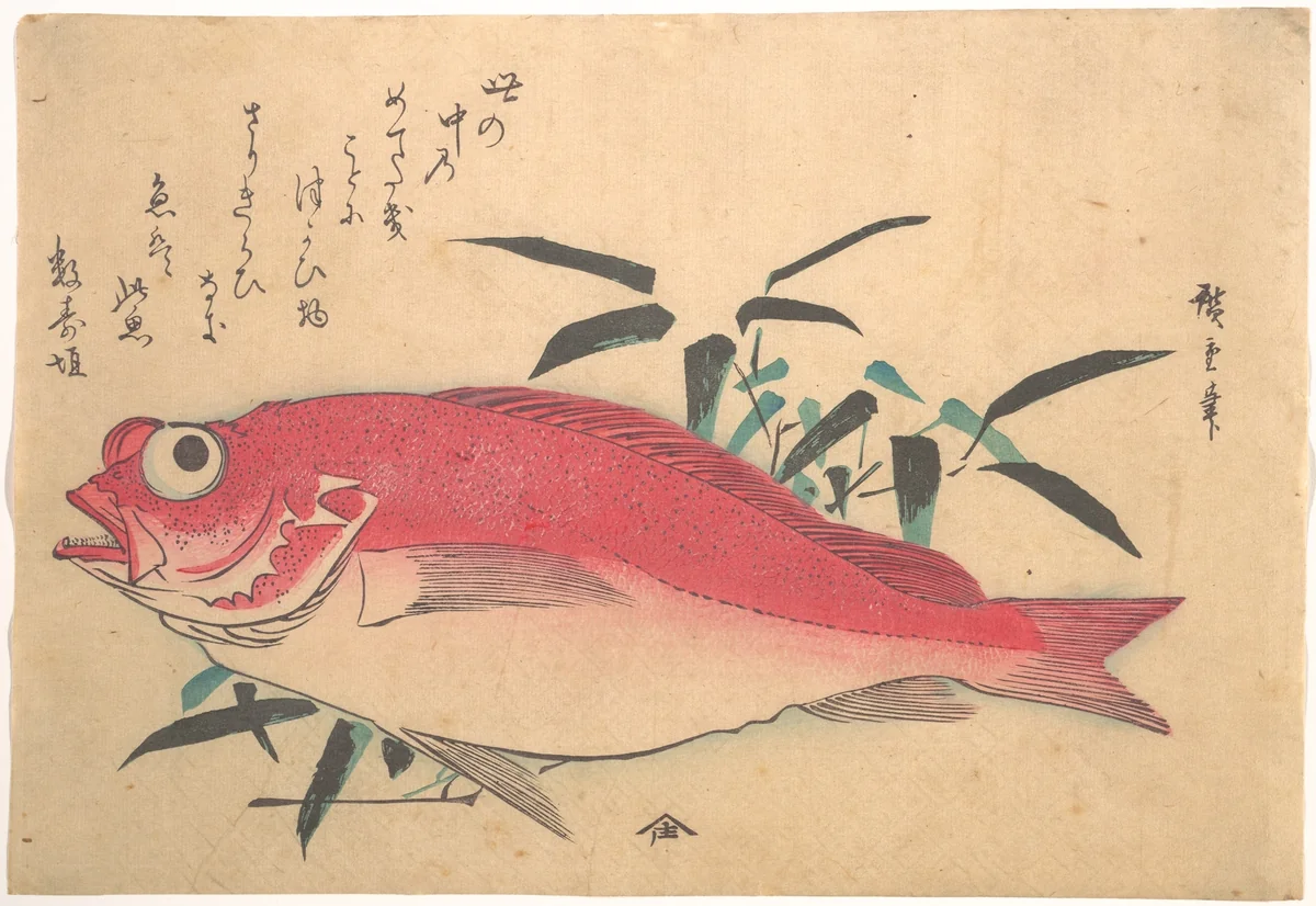 Medetai Fush and Sasaki Bamboo, from the series Uozukushi (Every Variety of Fish) by Utagawa Hiroshige (歌川広重), print, 1840-1849