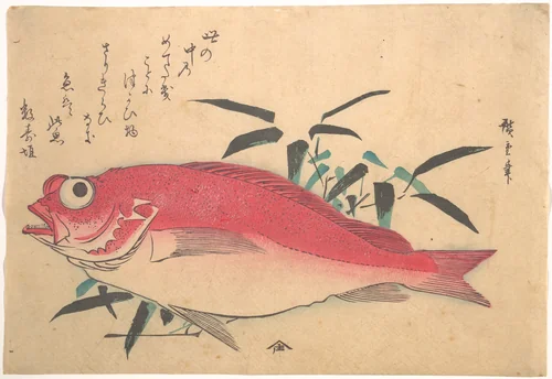 Medetai Fush and Sasaki Bamboo, from the series Uozukushi (Every Variety of Fish) by Utagawa Hiroshige (歌川広重), print, 1840-1849
