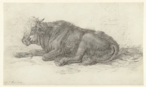 Liggende koe by Jan Joost van Cossiau, drawing, 1670-1732