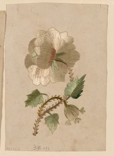 Pattern by Bukhara, textile, 1701-1800