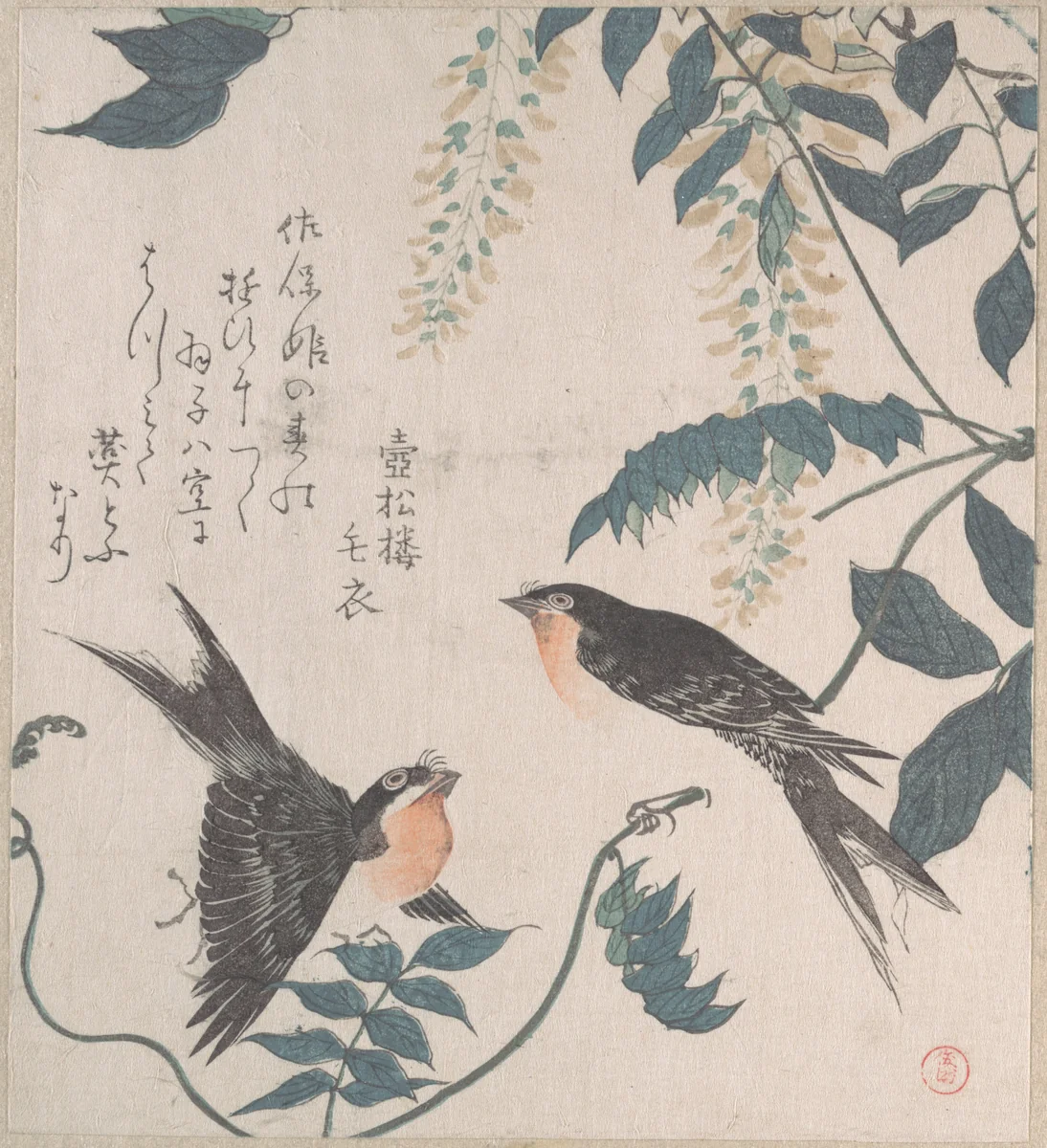 Swallows and Wisteria by Kubo Shunman (窪俊満), print, 1800-1899