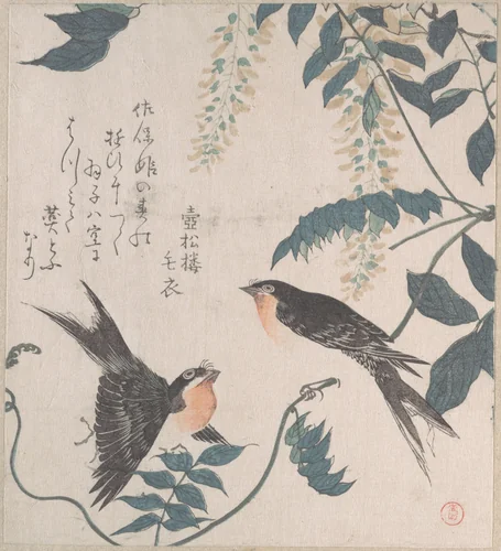Swallows and Wisteria by Kubo Shunman (窪俊満), print, 1800-1899