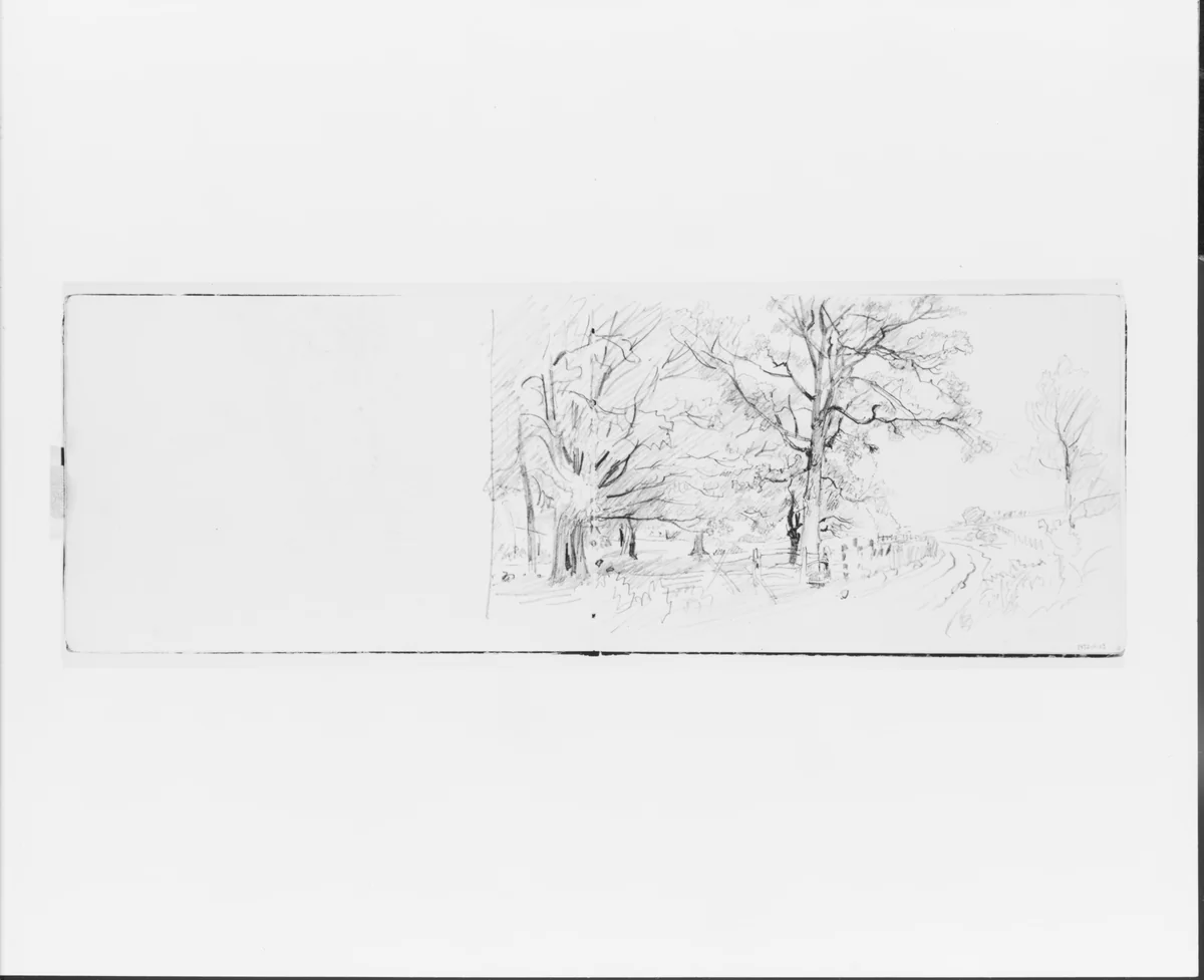 Country Road Framed by Trees (from Sketchbook VII) by William Trost Richards, artwork, 1886