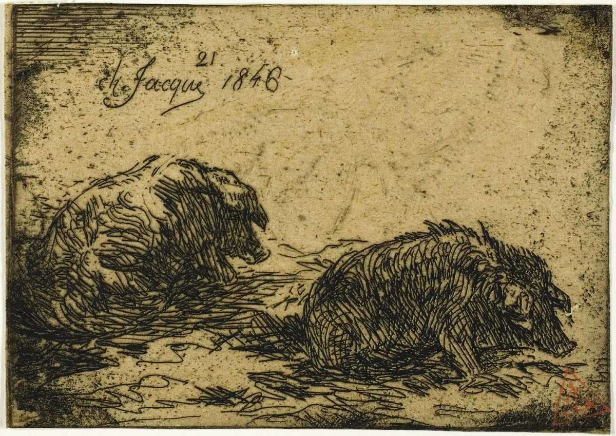 Two Pigs Lying Down by Charles-Émile Jacque, print, 1846