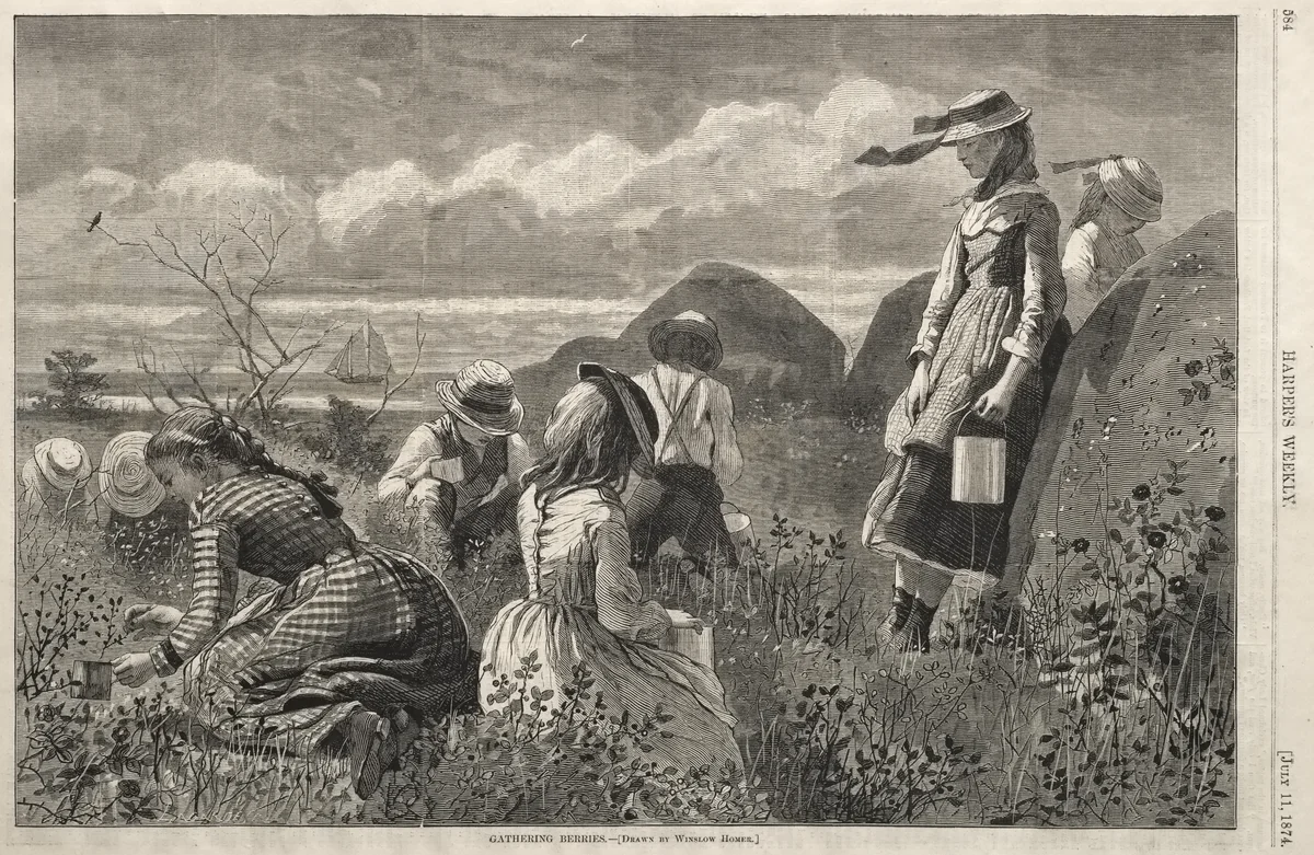 Gathering Berries by Winslow Homer, print, 1874