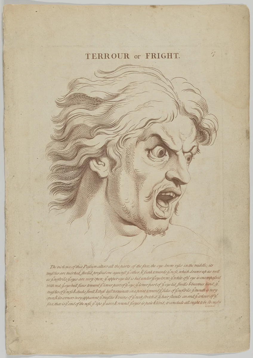 Terrour or Fright, plate 18 from "Heads Representing the Various Passions of the Soul; as they are Expressed in the Human Countenance: Drawn by that Great Master Monsieur Le Brun" by anonymous, print, 1765-1800