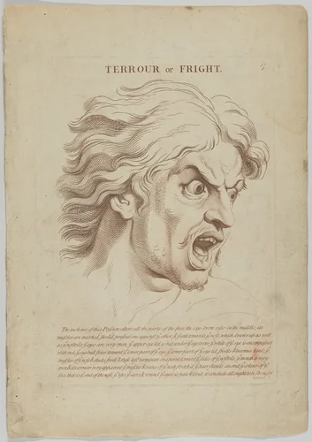 Terrour or Fright, plate 18 from "Heads Representing the Various Passions of the Soul; as they are Expressed in the Human Countenance: Drawn by that Great Master Monsieur Le Brun" by anonymous, print, 1765-1800