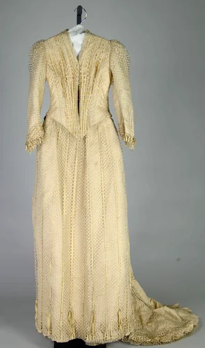 Afternoon dress by M. C. Daly, artwork, 1888