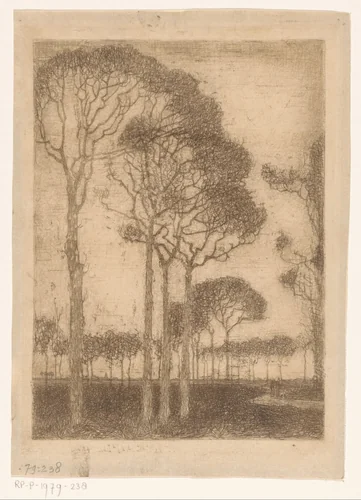 Bomen aan de rand van het Oranjewoud by Jan Mankes, print, 1914-1915