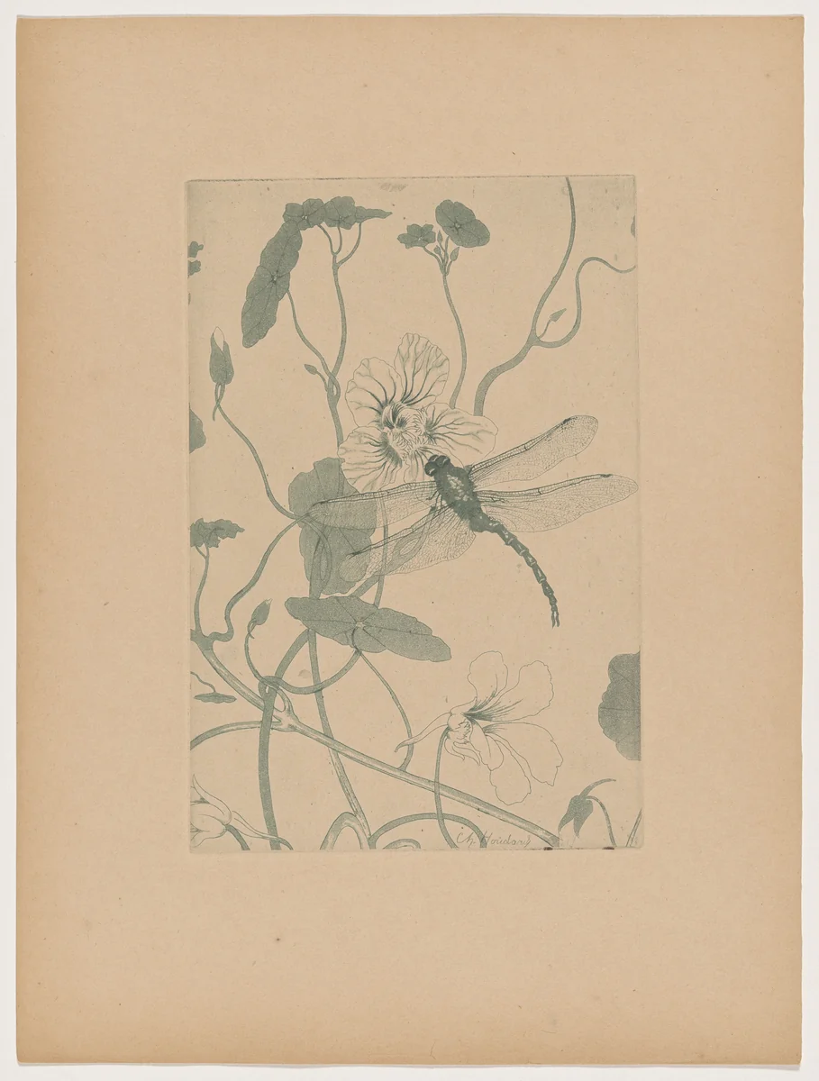 Fleurs (Flowers) by Charles-Louis-M. Houdard, print, 1895
