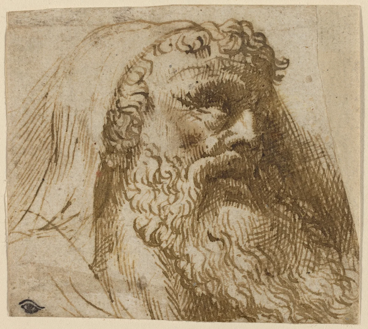 Head of a Man by Domenico Campagnola, drawing, 1500-1564