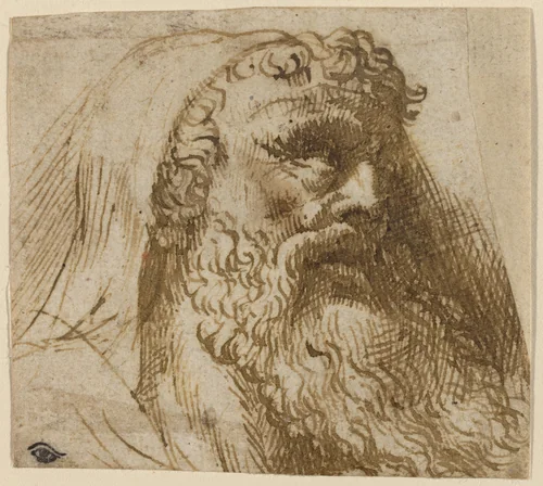 Head of a Man by Domenico Campagnola, drawing, 1500-1564