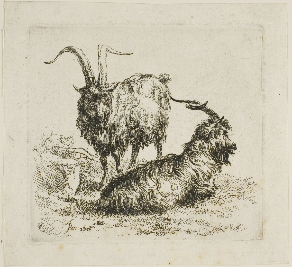 Two Goats with Large Horns, from Various Animals by Nicolaes Berchem, print, 1601-1700