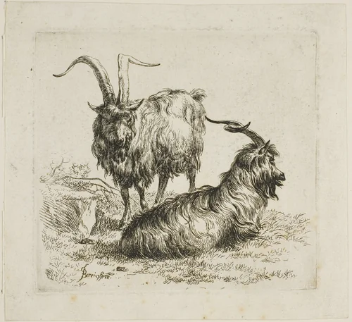 Two Goats with Large Horns, from Various Animals by Nicolaes Berchem, print, 1601-1700