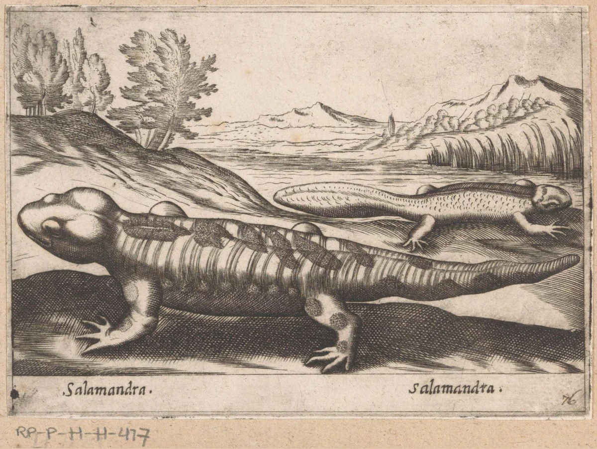 Salamanders by Antonio Tempesta, print, 1565-1630