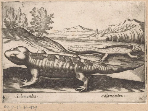 Salamanders by Antonio Tempesta, print, 1565-1630