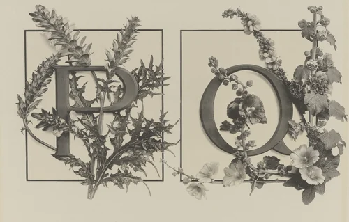 Page from Festons und Dekorative Gruppen by Unidentified Photographer, photograph, 1893