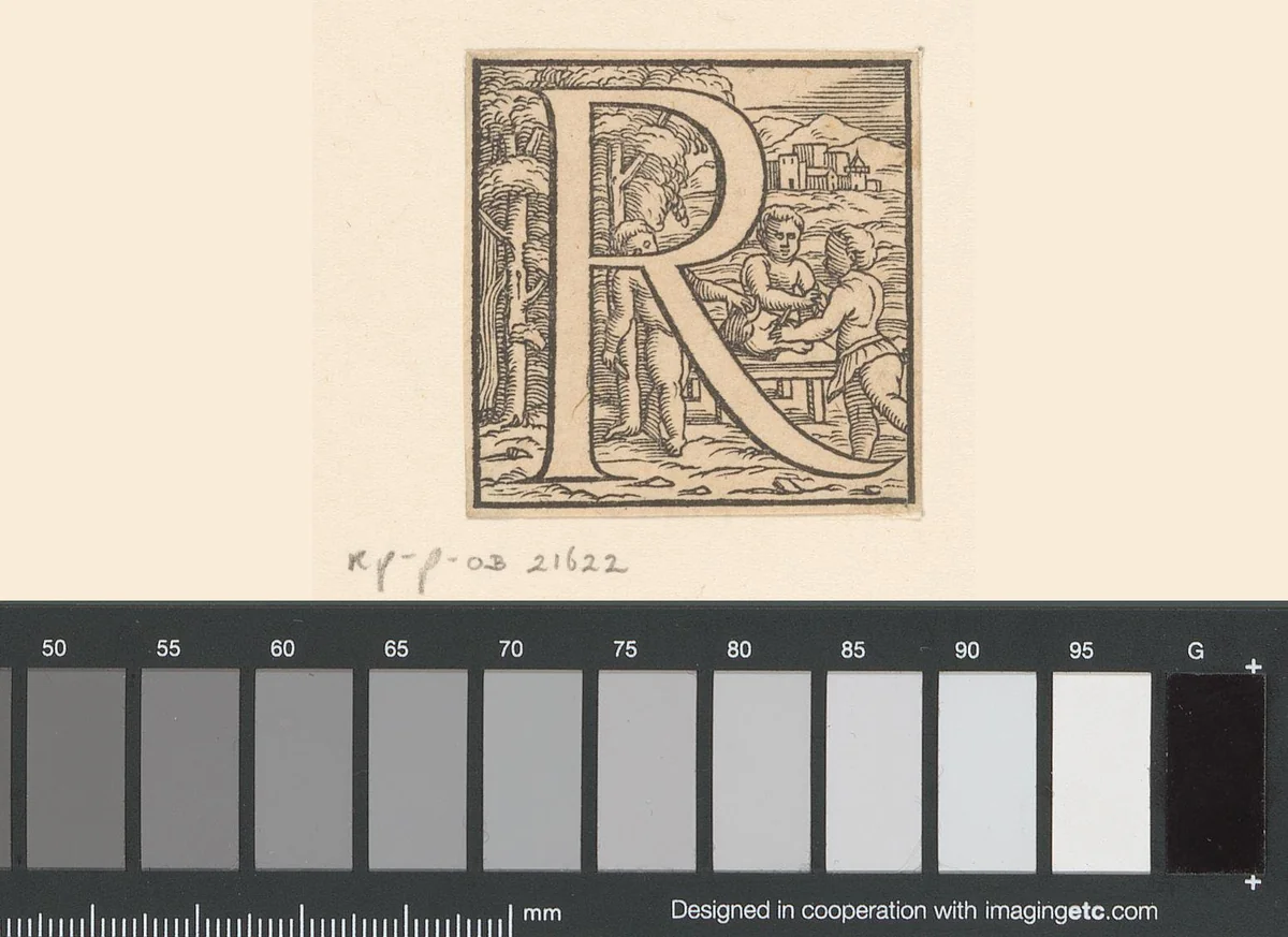 Letter R: kinderen ontleden de kop van een koe by anonymous, print, 1543