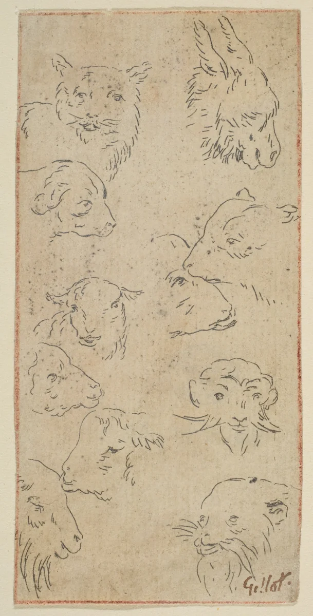 Study of animal heads by Claude Gillot, print, 1685-1722