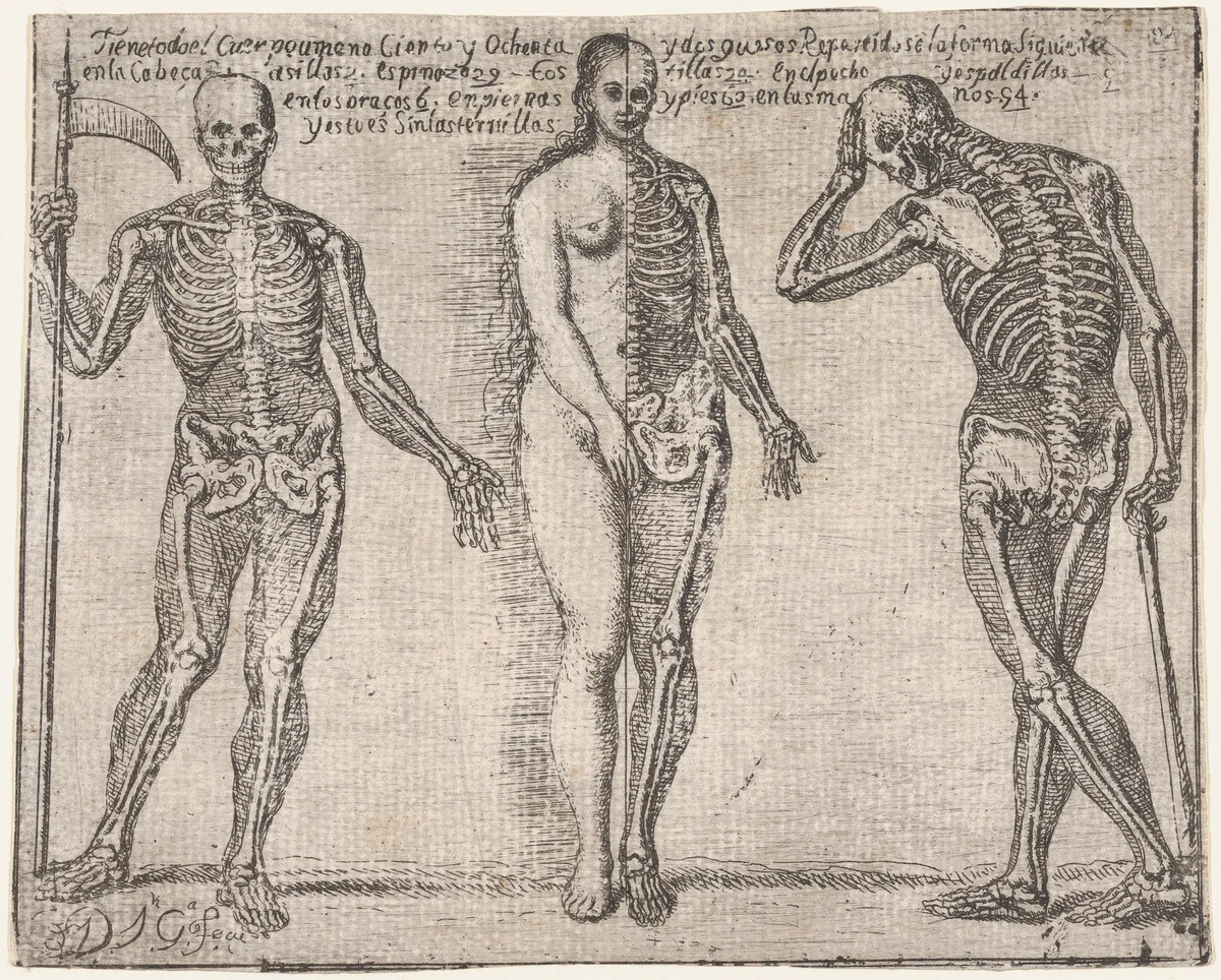 Studies of three skeleton, from the 'Principios para estudiar el Nobilísimo y Real arte de la Pintura' (Madrid 1693) by José García Hidalgo, print, 1688-1698