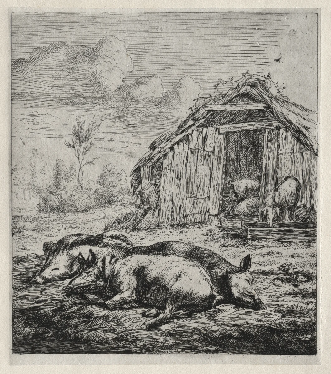 Three Swine Lying in Front of a Sty by Charles Meryon, print, 1850