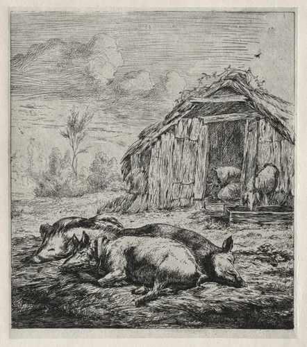 Three Swine Lying in Front of a Sty by Charles Meryon, print, 1850