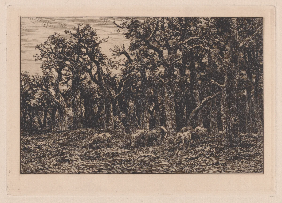 Woman driving a herd of cows by Charles Jacque, print, 1831-1894