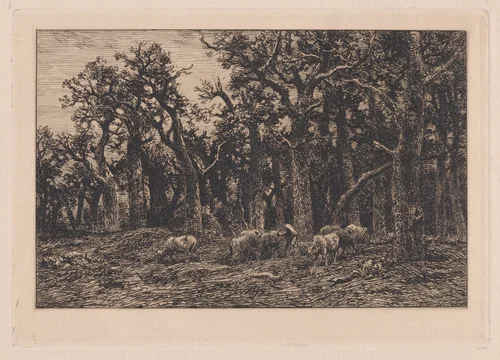 Woman driving a herd of cows by Charles Jacque, print, 1831-1894