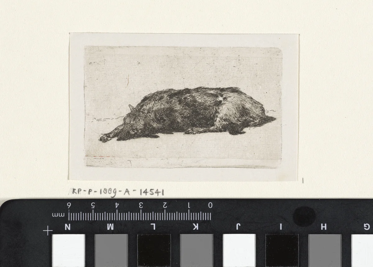 Slapende hond by Jan Weissenbruch, print, 1837-1880