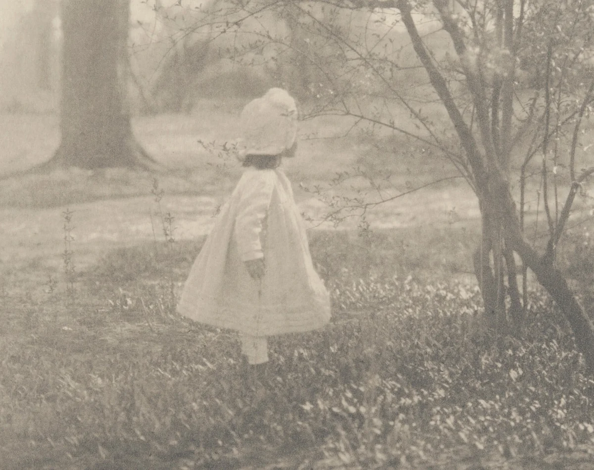 Spring by Alfred Stieglitz, photograph, 1901