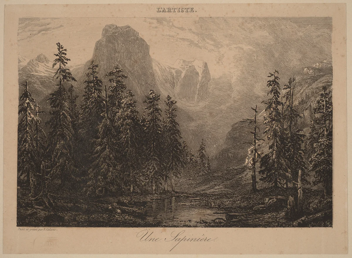 Une Sapinière by Alexandre Calame, portfolio, 1838-1850