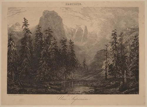 Une Sapinière by Alexandre Calame, portfolio, 1838-1850