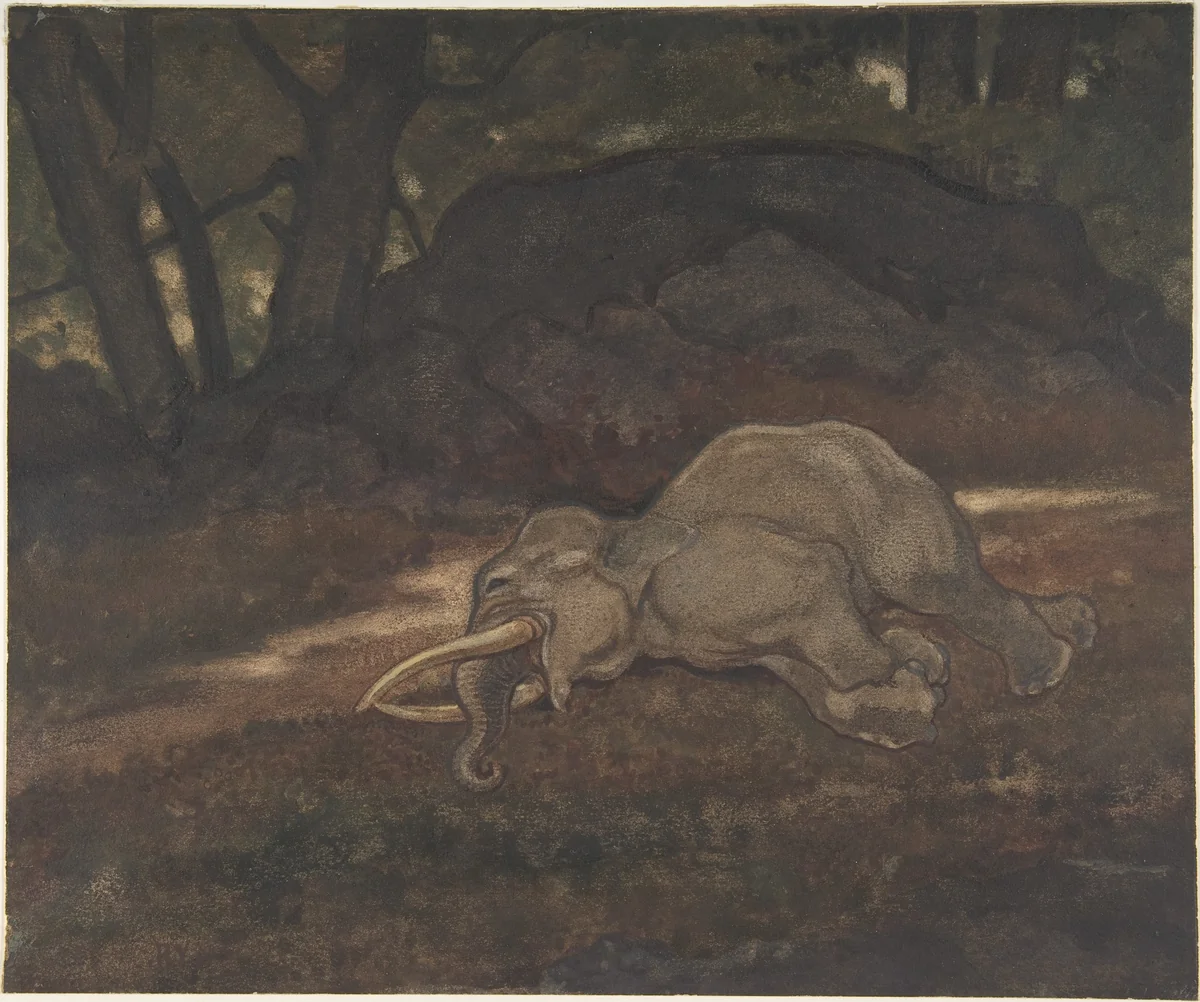 Sleeping Elephant by Antoine-Louis Barye, drawing, 1810-1875