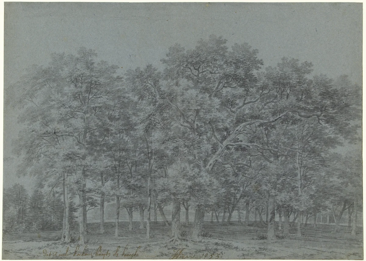 Bosgezicht in de Koekamp buiten Den Haag by Joris van der Haagen, drawing, 1653