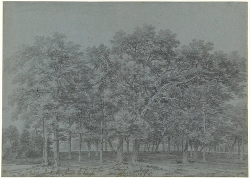 Bosgezicht in de Koekamp buiten Den Haag by Joris van der Haagen, drawing, 1653