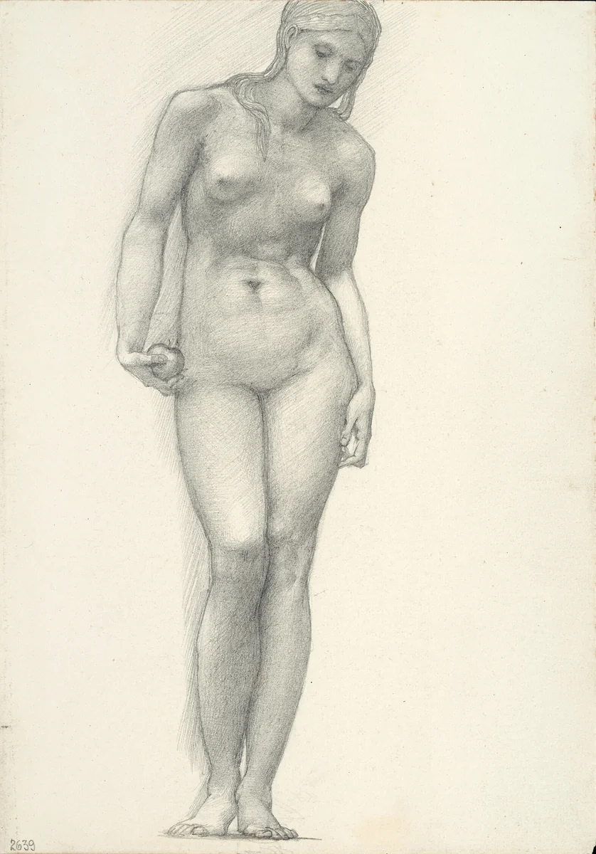 Venus with Golden Apple in Right Hand, for the Troy Triptych (sketchbook #2639) by Edward Burne-Jones, drawing, 1863-1877